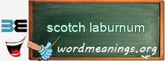 WordMeaning blackboard for scotch laburnum